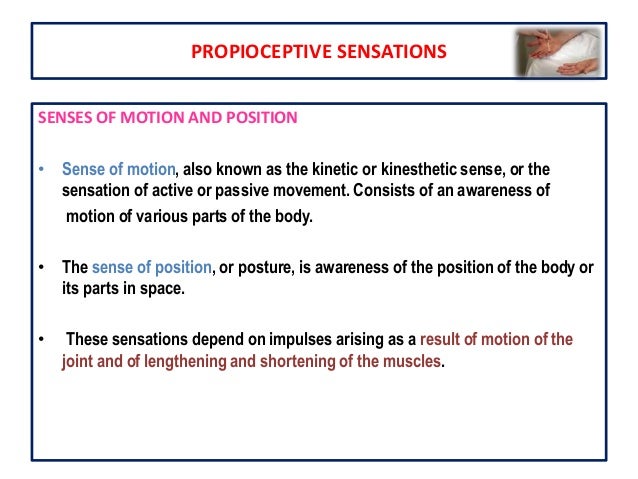 kinesthetic sense psychology kinesthetic sense and vestibular sense